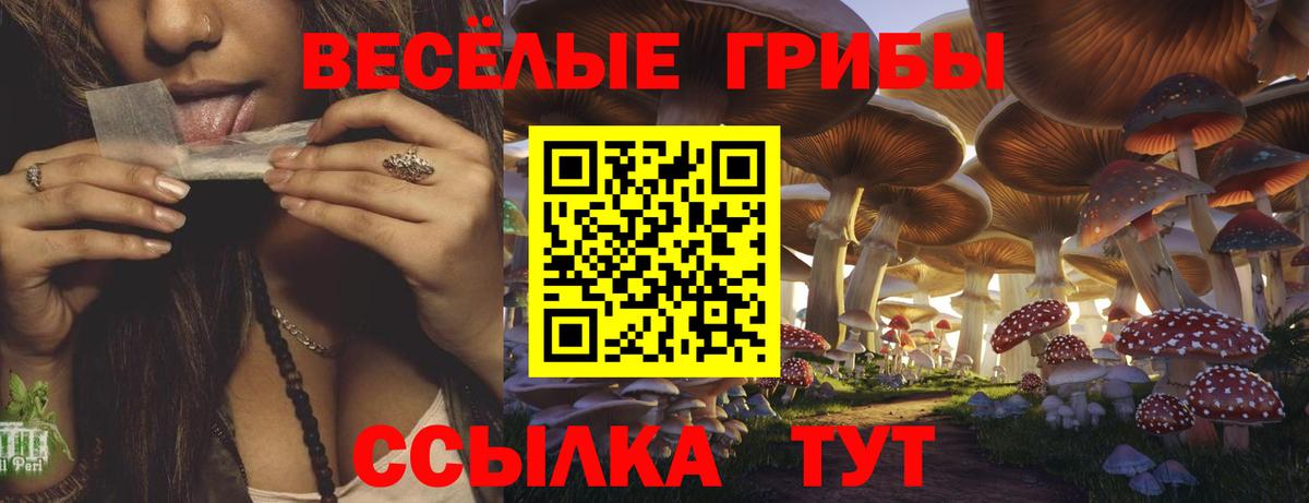 Псилоцибиновые грибы ЛСД Кимовск